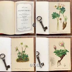 ALPENFLORA III Old Austrian Botanical Picture Book 1884 Antique Vintage F/S