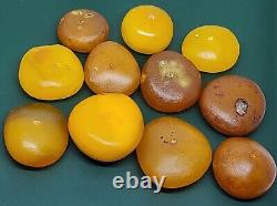 Amber baltic old antique RARE BIG necklace Donut Butterschotch 102gr tibetian