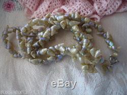 Antique Vintage Aboriginal Tasmanian Maireener Sea Shell Old Necklace