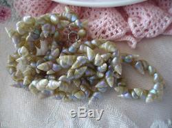 Antique Vintage Aboriginal Tasmanian Maireener Sea Shell Old Necklace