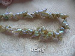 Antique Vintage Old Jewelry Aboriginal Australian Maireener Sea Shell Necklace
