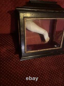 Antique marble hand in old display case oddities Memento Mori curiosity