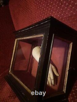 Antique marble hand in old display case oddities Memento Mori curiosity