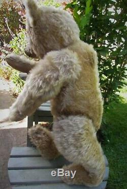 Beautiful Antique Old Mohair Steiff Teddy Bear 18 Inches