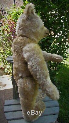Beautiful Antique Old Mohair Steiff Teddy Bear 18 Inches