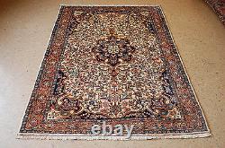 OLD, ANTIQUE EXCLUSIV FINE P-BIJAR ORIENTAL RUG 4.7x6.10 HIGH KPSI MASTER PIECE