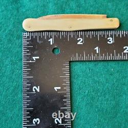 Old Vintage Antique All Bone Slipjoint Folding Pocket Knife