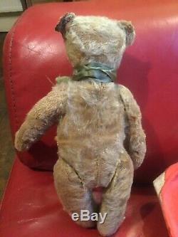 Old antique Steiff Bear With FF Button