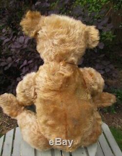 Skipper, Antique Old Mohair Steiff Teddy Bear With Blank Button