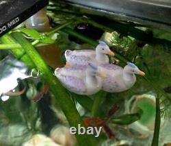 Vintage Old Antique Aquarium Fishbowl Ceramic Bisque Pottery Floating Swan Group