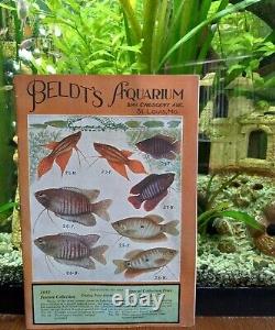 Vintage Old Antique Aquarium Fishbowl Rare Beldts Catalog Price List Book 1932