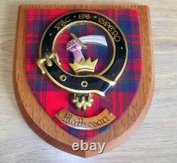 Vintage Old Scottish Carved Clan Matheson Tartan Plaque Crest Shield xxx